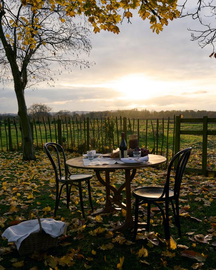 The Vineyard Table